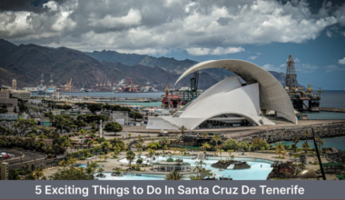 5 Exciting Things to Do In Santa Cruz De Tenerife, Canary Islands